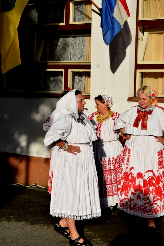 Peščani svome gradu (19)