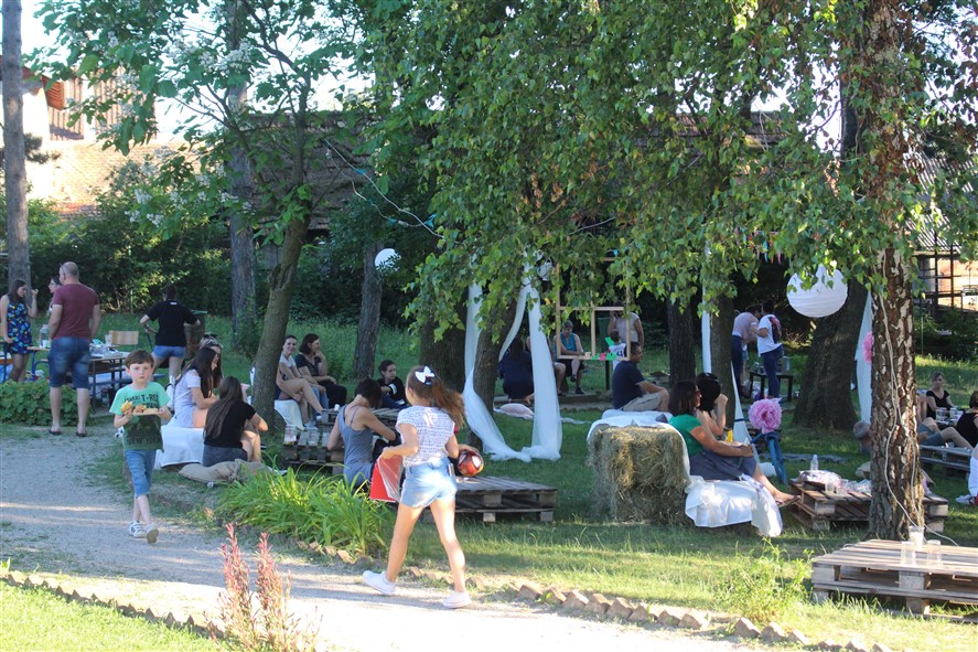 Sejem2019 orej