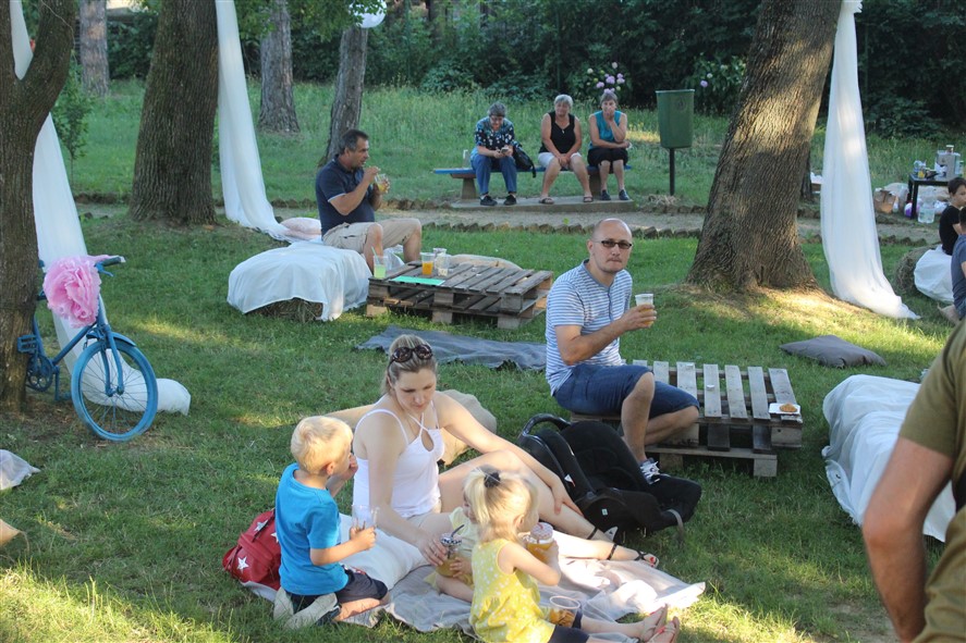 Sejem2019 orej