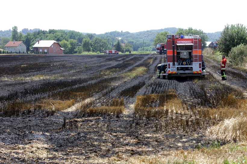 Zapalilo se oko 20 hektara površine, požar gasilo čak pet vatrogasnih postrojbi