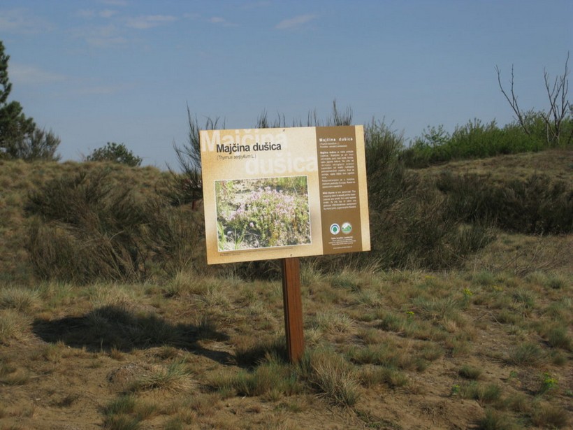 đurđevački pijesci (3)