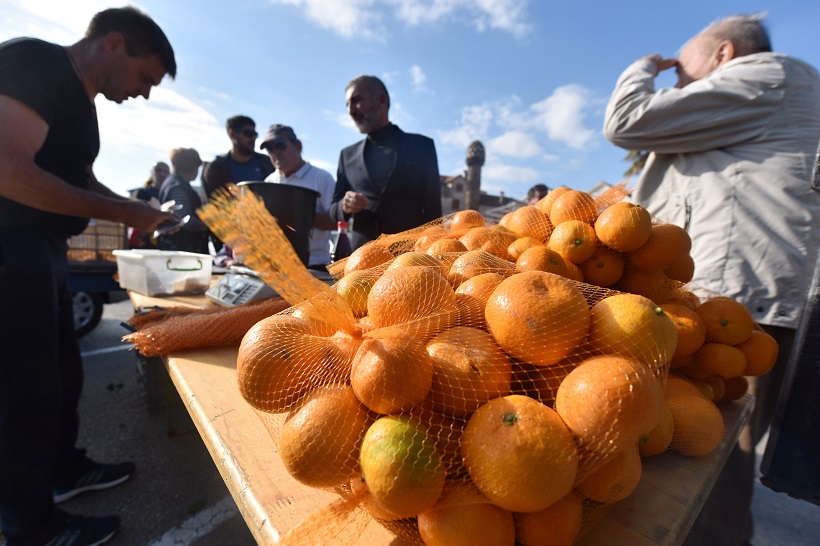 Vodice: Prodaja uz cestu mandarina iz doline Neretve i turopoljskih jabuka