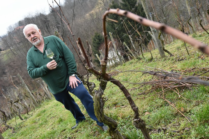 [FOTO/VIDEO] Stjepan Belko, vinar s 20-ogodišnjim stažem: ‘Prvo vino bilo mi je kao pelinkovac; 400 litara izlio sam u klanac’