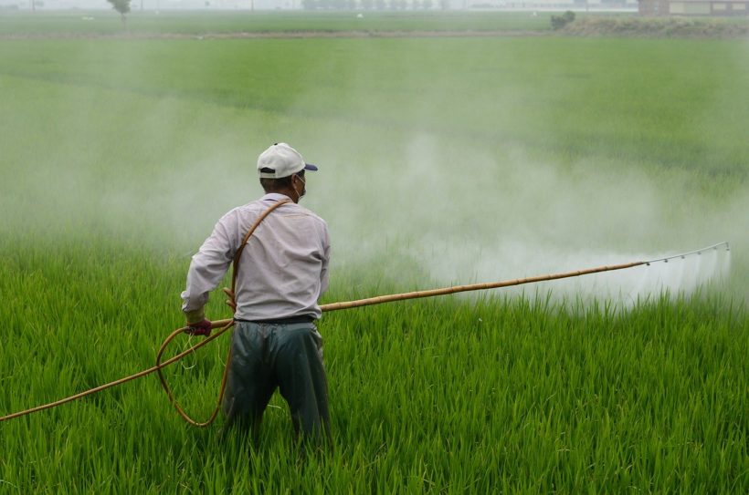 pesticidi pixabay