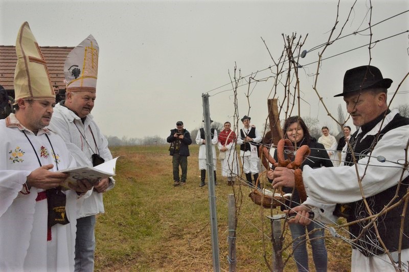 “KRALJEVSKO VINCEKOVO” Sveti Vinko proslavljen u vinogradu Damira Kralja!