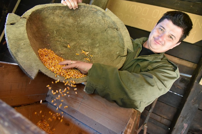 [FOTO] Antonio Račan, mlinar na staroj vodenici u Svetoj Ani: “Za kvalitetno brašno prije svega potreban je kvalitetan kukuruz”