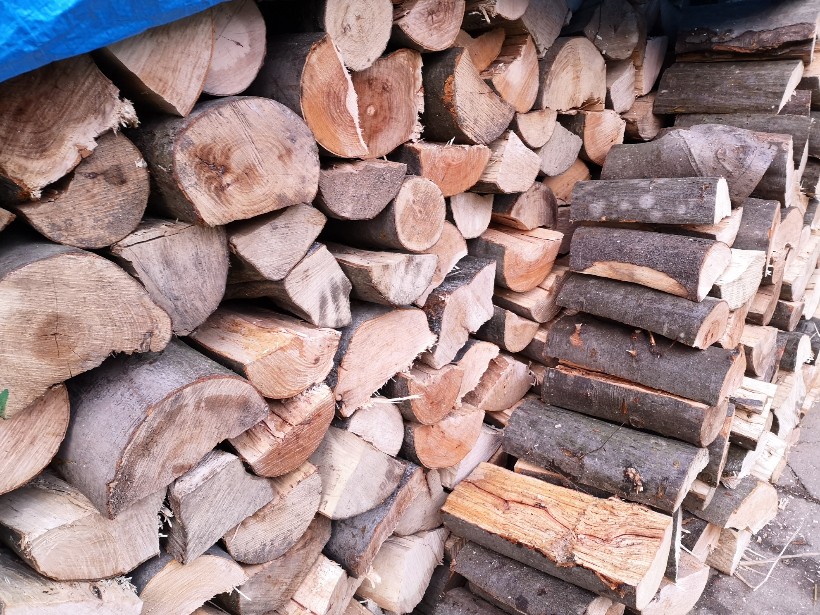 Policija sumnjiči 52-godišnjaka za krađu drva kod Križevaca