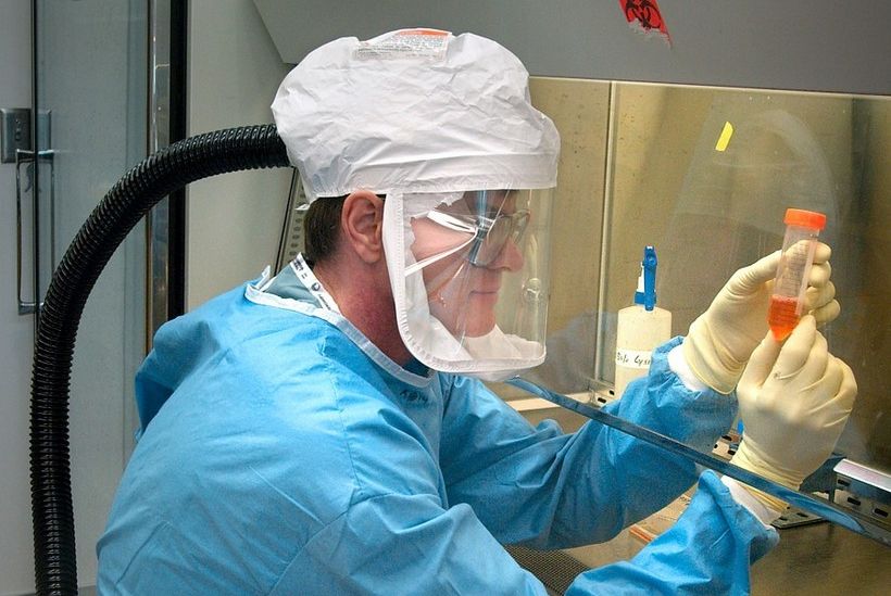 virus mikrobiolog