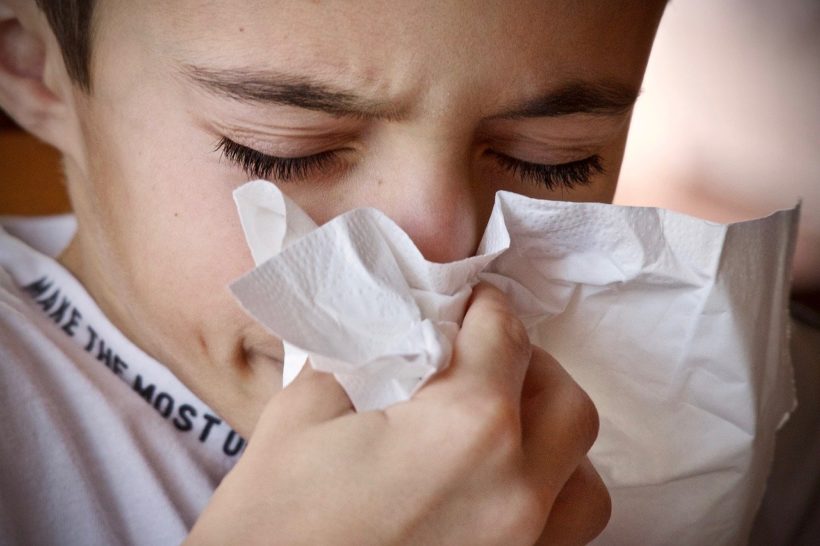 prehlada gripa