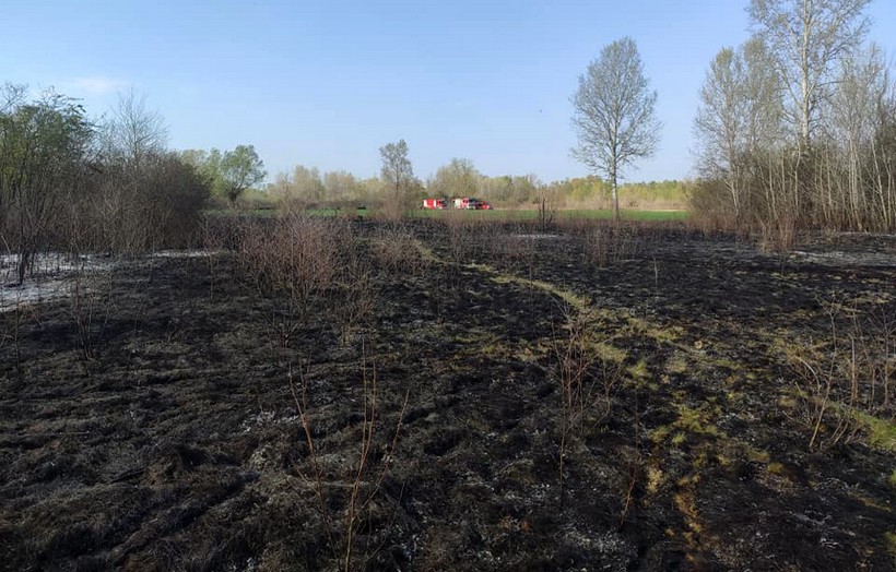 Policija istražuje požar polja ječma; šteta više tisuća kuna