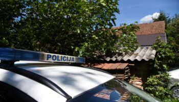 Gorice, vinograd, provala ilustracia, obita klet, policija (4)