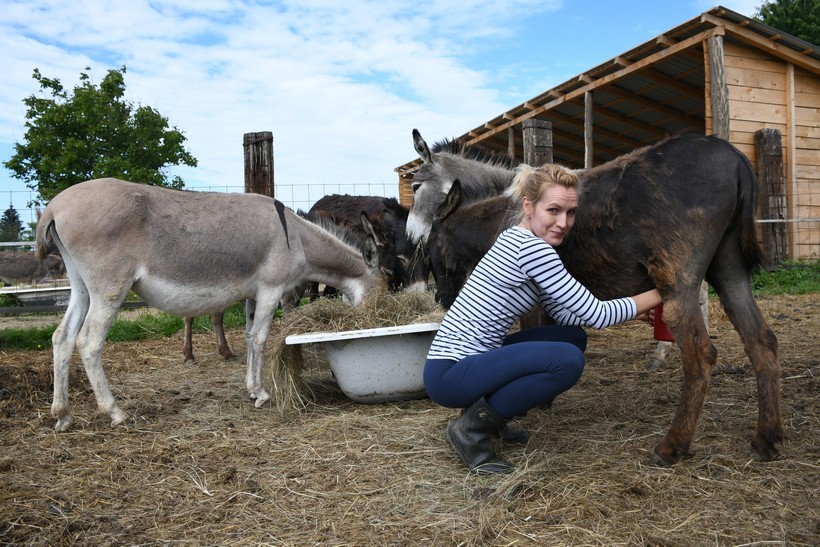OPG Plašć iz Bjelovara proizvodi magareće mlijeko: ‘Odlično je za razvoj moždanog i imunog sustava’
