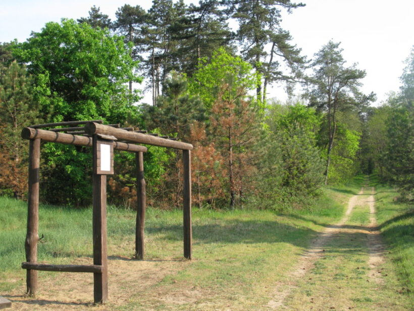 Novi turistički i sportski sadržaji u park šumi Borik; uskoro kreće uspostava i izgradnja poučne i trim staze