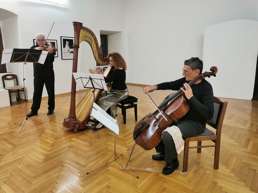 konert trio đurđevac (6)