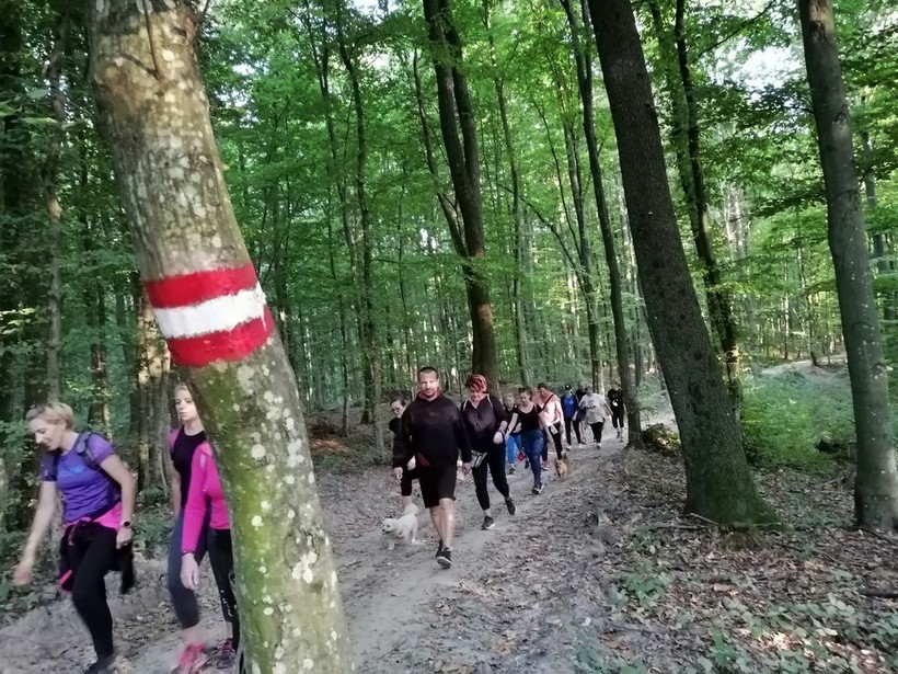 šetači eu mobilnosti (12)