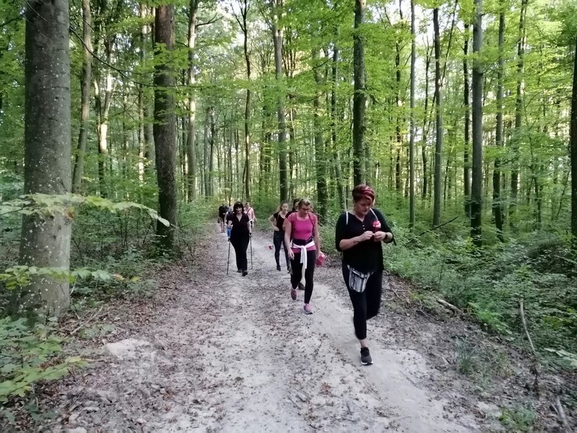 šetači eu mobilnosti (13)