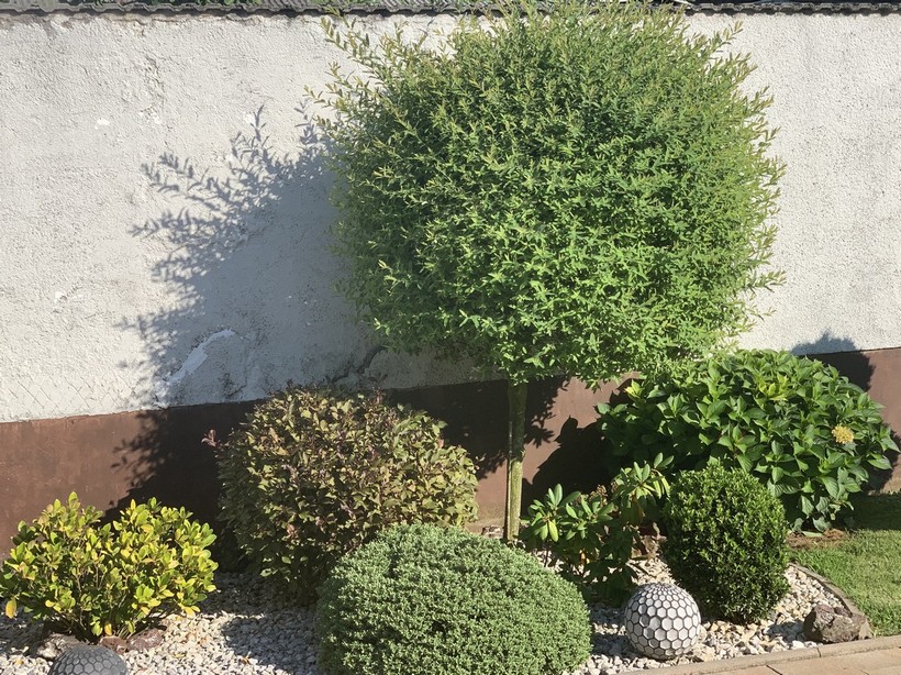 Dodijeljena priznanja u akciji „Čiji je vrt najljepši“ (56)