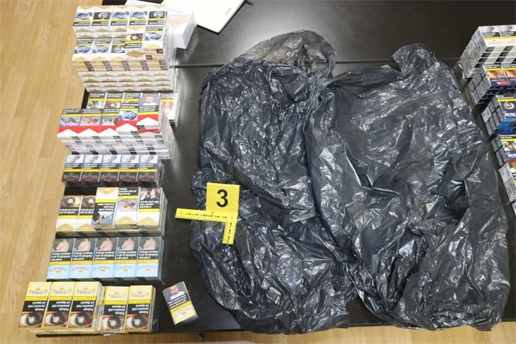 Dovršena krim istraga1