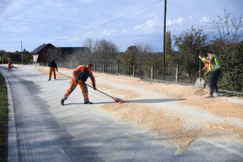 Zrna kukuruza iscurila vozaču kamiona na cesti u Hagnju