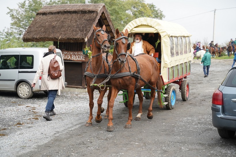 bjelovar konj (52)