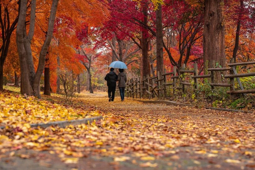 Jesen Par šetnja Umirovljenici Park