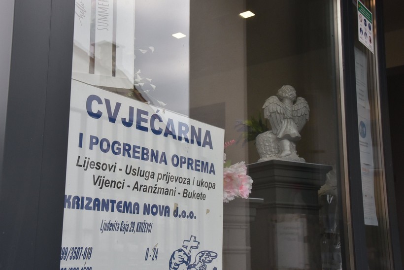 krizantema nova (9)