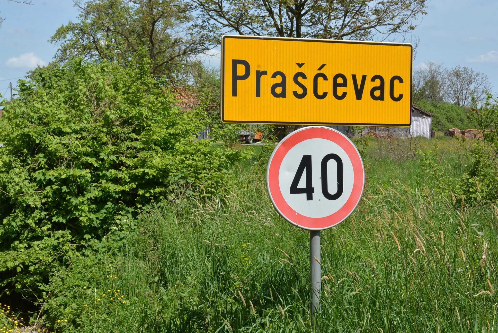 prascevac
