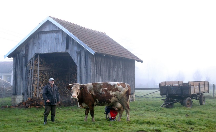 Posljedice potresa u selu Majska Poljana