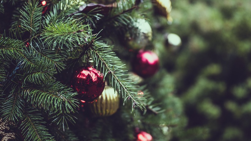 DOGOVOREN NAPAD ZBOG JALA Susjed je bio uspješniji u prodaji božićnih drvaca