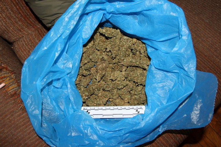 trava marihuana laboratorij sesvete (4)