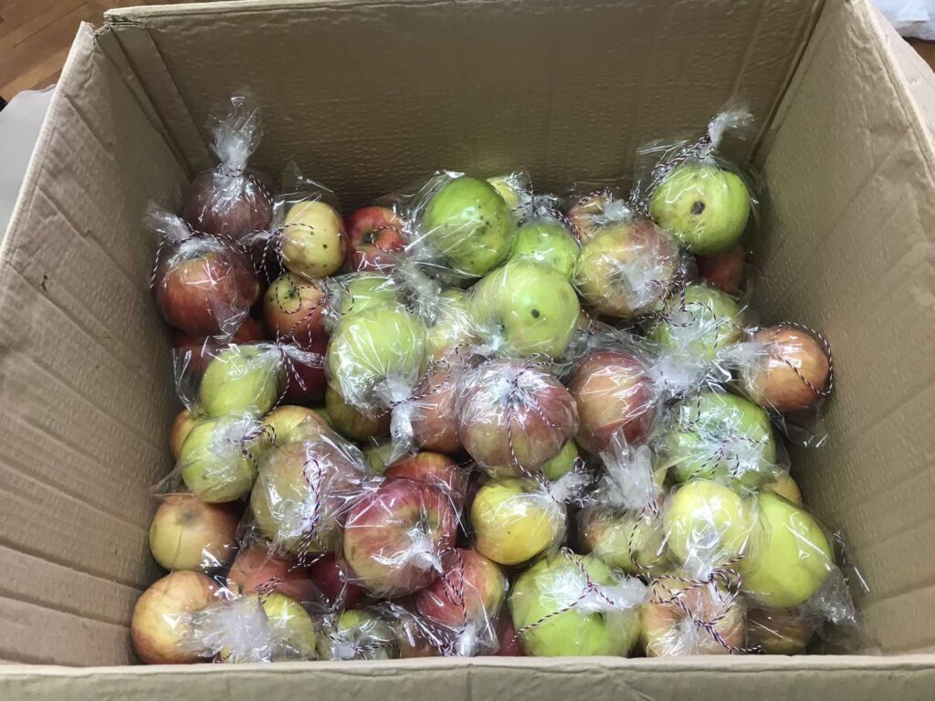 ucenici donirali medicinske djelatnike5