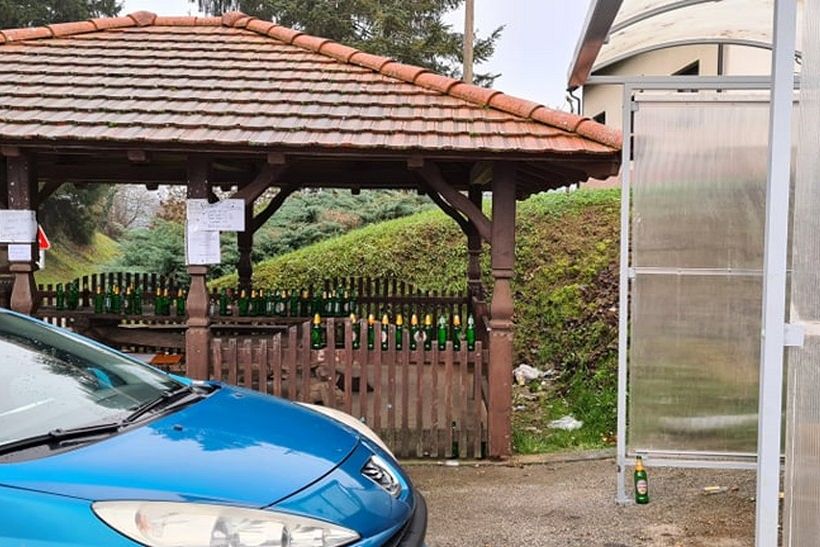 čvrstec pivo (2)