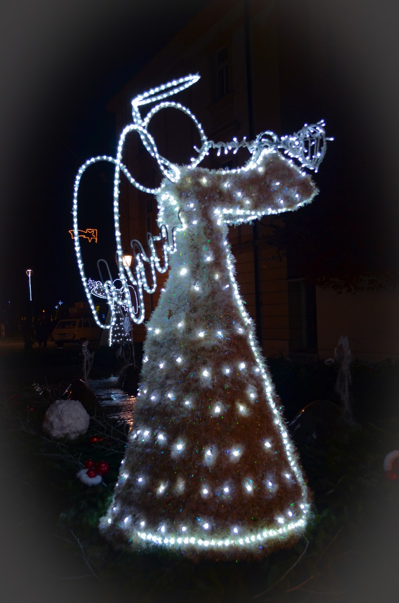 špica bjelovar (12)