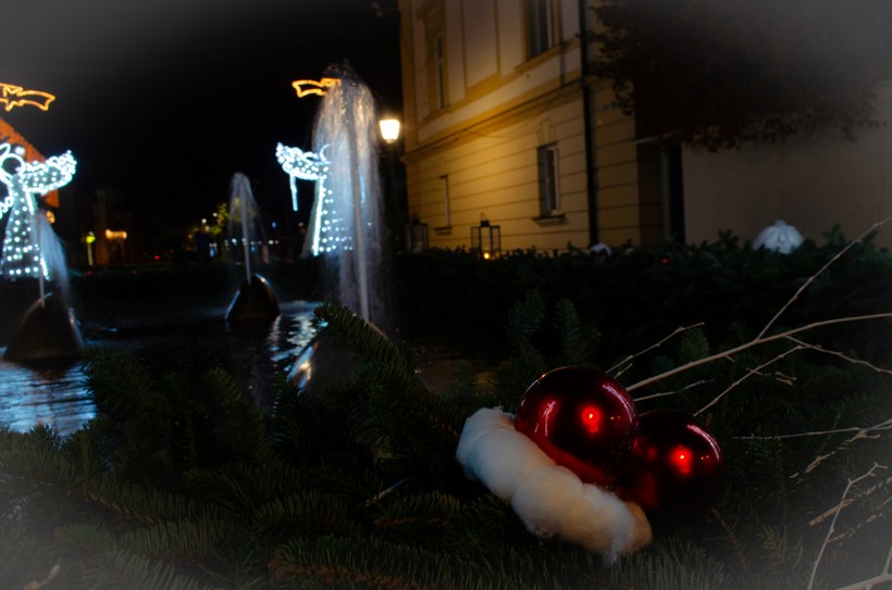 špica bjelovar (13)