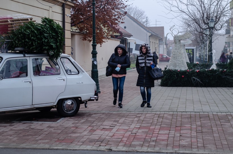 špica bjelovar (40)