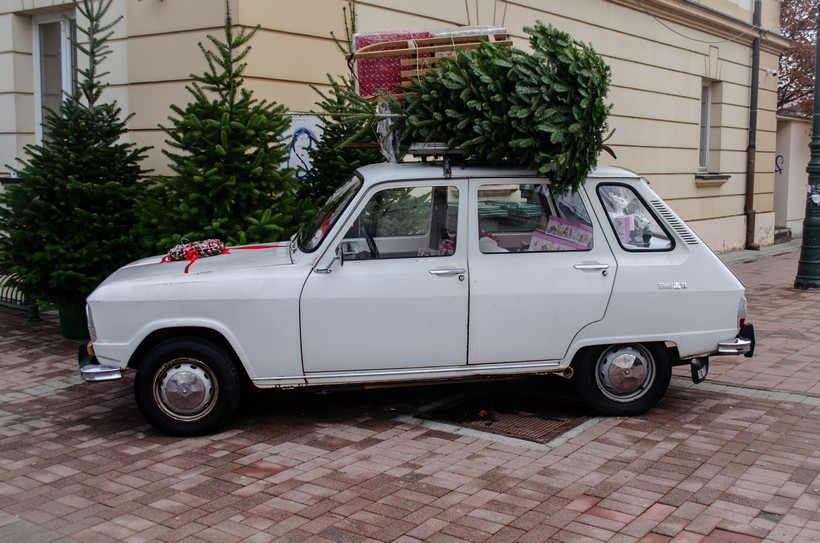 špica bjelovar (48)