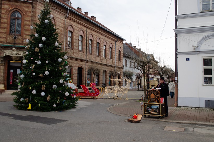 špica bjelovar prosinac (28)