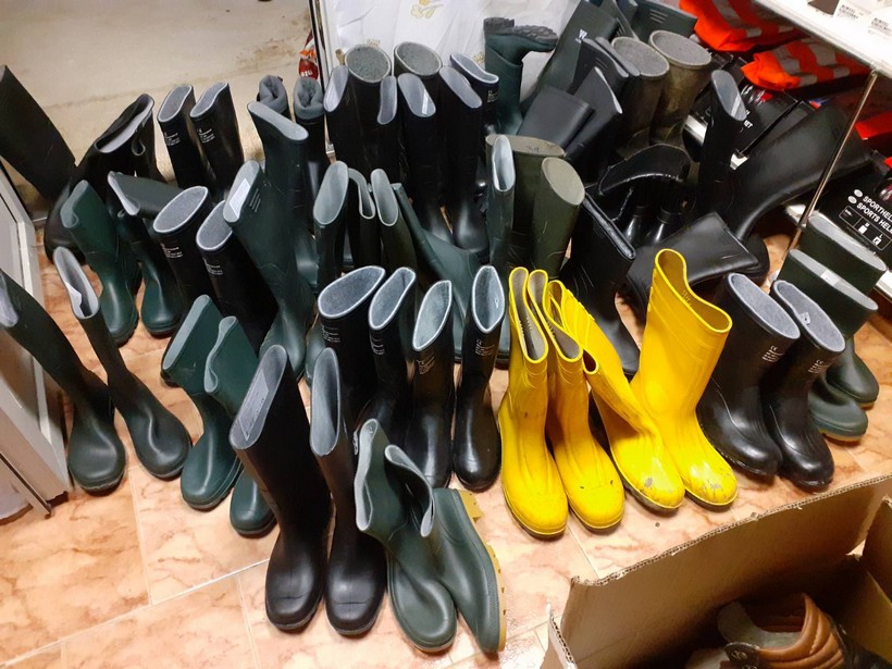 vrbovec crveni kriz (5)