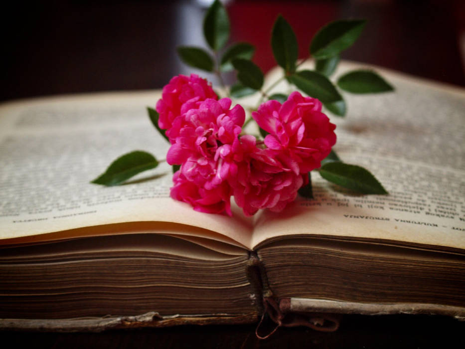 Knjiga cvijet