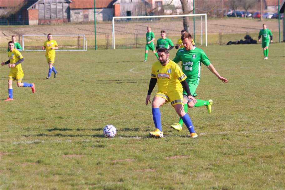 Zabnica donja zelina- 11