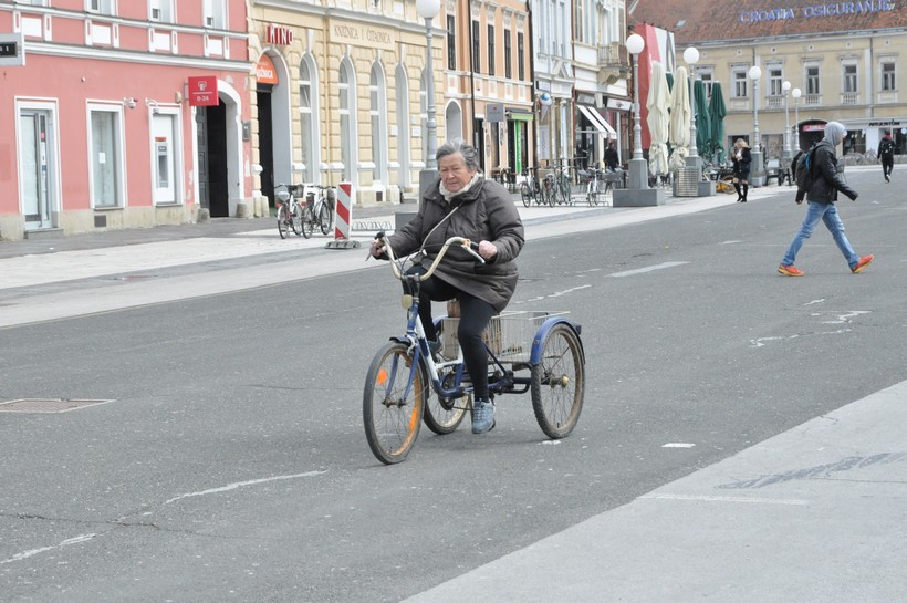 fotkalo špica kc (2)