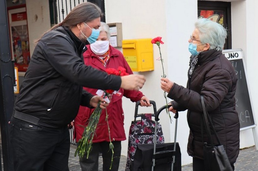 kešer golubić karanfili (2)