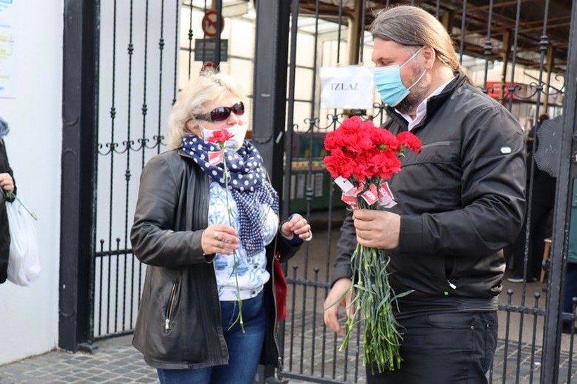 kešer golubić karanfili (8)