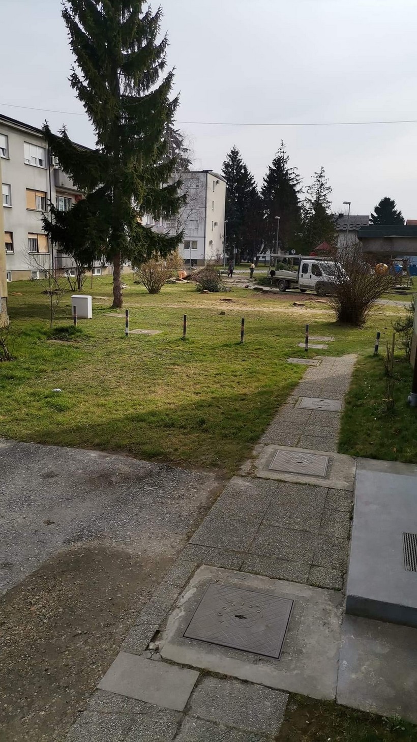 porušena stabla koprivnica (3)