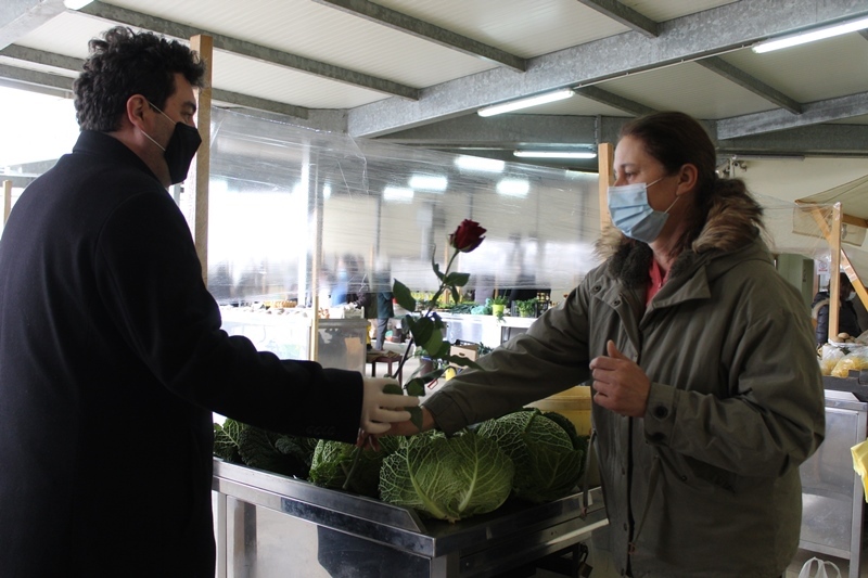 rajn martinčević ruže (3)