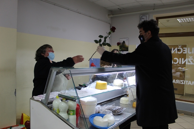 rajn martinčević ruže (4)