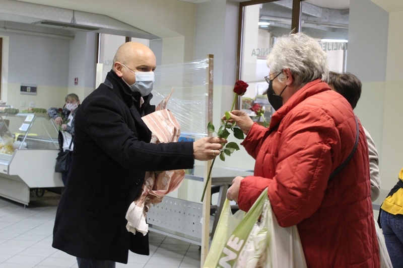 rajn martinčević ruže (5)