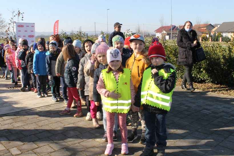 sadnja drveća koprivnica (2)