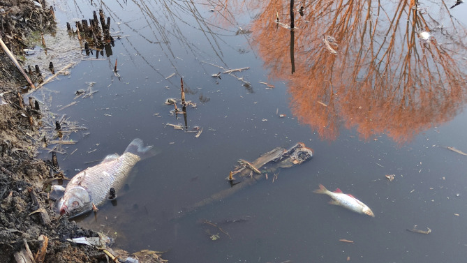 zagadjena-jezera-u-slavoniji (2)