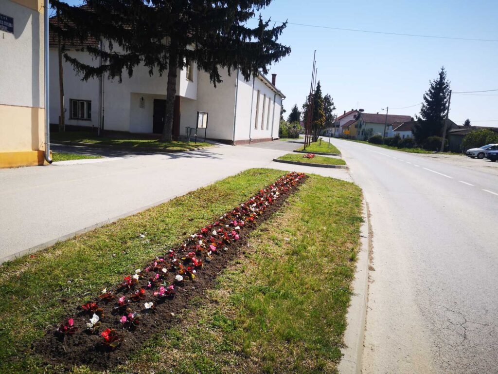 cvijeće-đelekovec-2